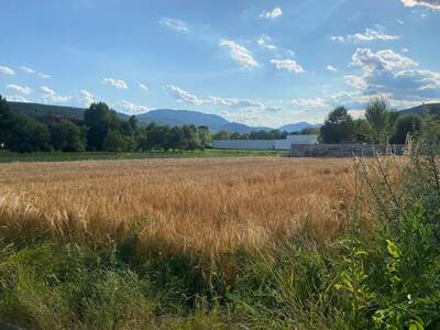 Grundstück kaufen in 2753 Markt Piesting (Bild 1)