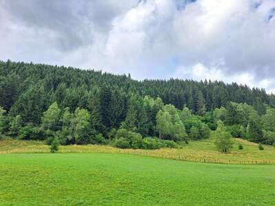Gewerbeobjekt kaufen in 5591 Ramingstein