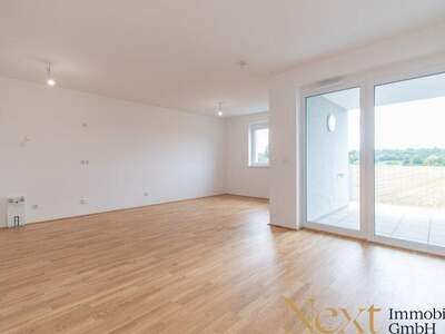 Terrassenwohnung kaufen in 3100 St. Pölten (Bild 3)