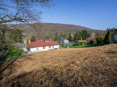 Grundstück kaufen in 3012 Wolfsgraben