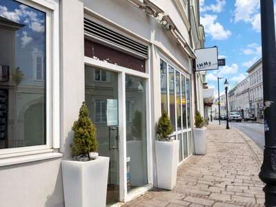 Gewerbeobjekt mieten in 2000 Stockerau (Bild 2)