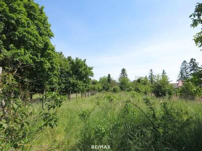 Grundstück kaufen in 2294 Breitensee