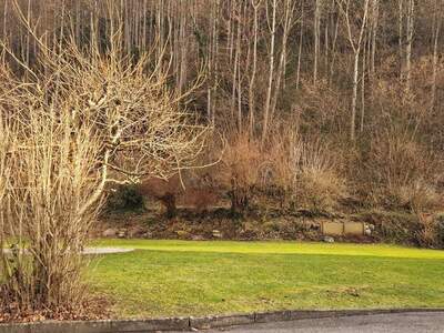 Haus mit Garten kaufen in 6840 Götzis (Bild 2)