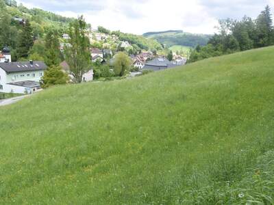 Anlageobjekt kaufen in 3340 Waidhofen