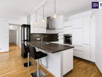 Terrassenwohnung mieten in 1110 Wien (Bild 1)