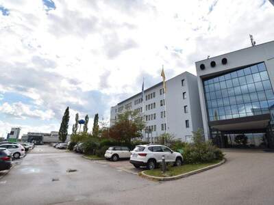 Gastronomie / Restaurant mieten in 2351 Wr. Neudorf (Bild 3)