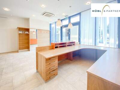 Gewerbeobjekt mieten in 1220 Wien (Bild 3)