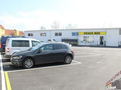 Halle / Lager / Produktion mieten in 2401 Fischamend (Bild 3)