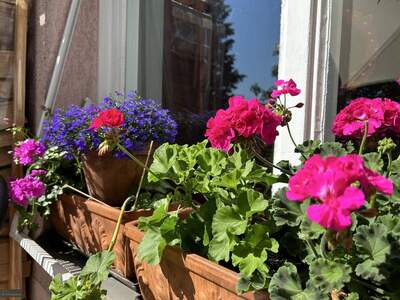 Wohnung kaufen in 6020 Innsbruck