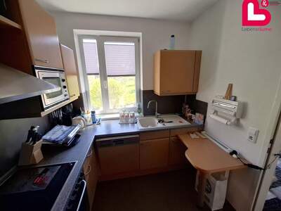 Apartment provisionsfrei mieten in 4631 Oberösterreich