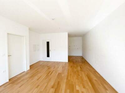 Terrassenwohnung mieten in 2700 Wr. Neustadt (Bild 1)