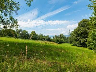 Grundstück kaufen in 6911 Lochau