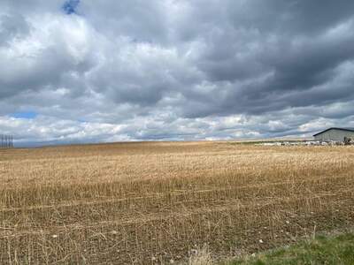 Gewerbeobjekt kaufen in 3613 Els (Bild 1)