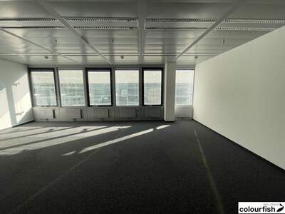 Gewerbeobjekt mieten in 1220 Wien (Bild 4)