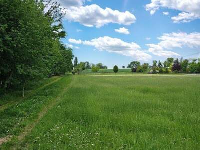 Grundstück kaufen in 4972 Utzenaich