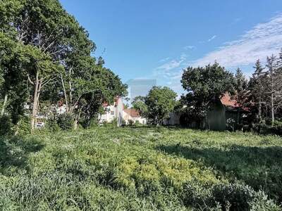 Grundstück kaufen in 2522 Oberwaltersdorf (Bild 3)