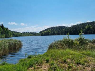 Einfamilienhaus kaufen in 9220 Velden (Bild 3)