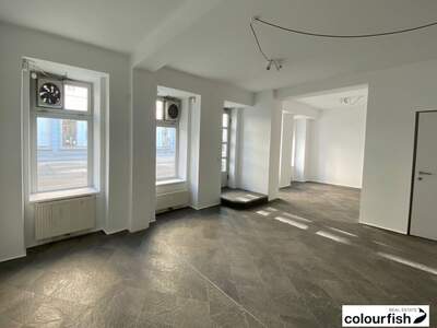 Gewerbeobjekt mieten in 1060 Wien (Bild 4)