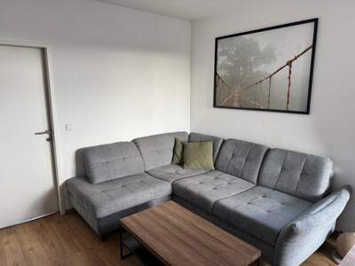 Terrassenwohnung mieten in 4482 Ennsdorf (Bild 2)
