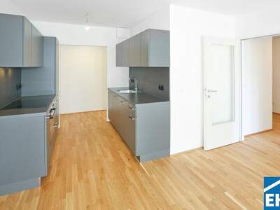 Terrassenwohnung mieten in 1220 Wien (Bild 3)