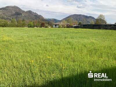 Grundstück kaufen in 4591 Molln (Bild 3)