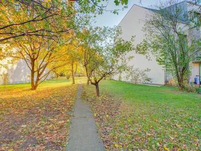 Grundstück kaufen in 1100 Wien