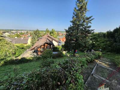 Haus mit Garten kaufen in 3433 Königstetten (Bild 4)