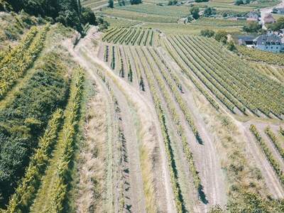 Gewerbeobjekt provisionsfrei kaufen in 3621 Mitterarnsdorf