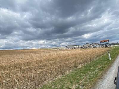 Gewerbeobjekt kaufen in 3613 Els (Bild 4)