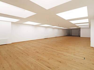 Gewerbeobjekt kaufen in 1090 Wien