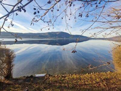 Grundstück kaufen in 4853 Seefeld