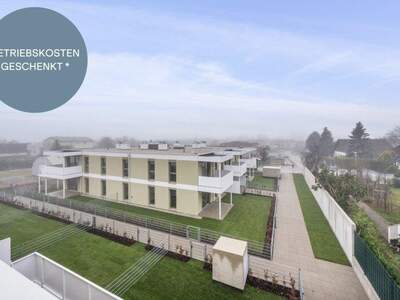 Terrassenwohnung kaufen in 2540 Bad Vöslau (Bild 1)