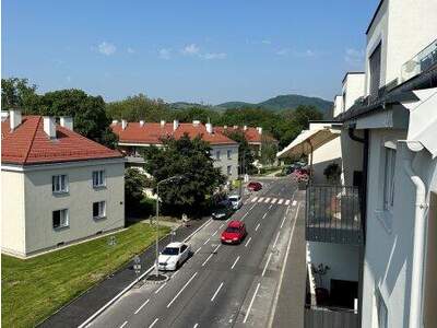 Terrassenwohnung kaufen in 1210 Wien (Bild 2)