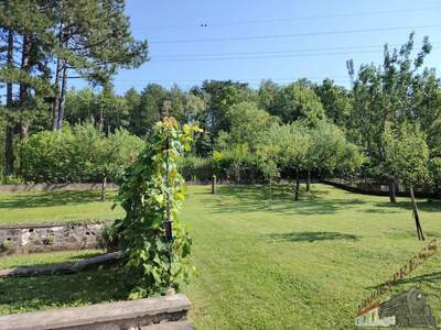 Einfamilienhaus kaufen in 2632 Grafenbach (Bild 4)
