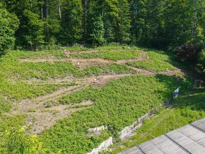Anlageobjekt kaufen in 4820 Bad Ischl