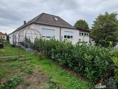 Anlageobjekt kaufen in 7021 Gemeinde Draßburg