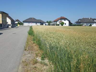 Haus kaufen in 3300 Amstetten