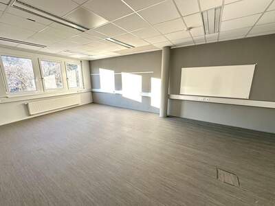 Gewerbeobjekt mieten in 8054 Graz (Bild 1)