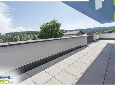 Terrassenwohnung kaufen in 4202 Kirchschlag (Bild 5)