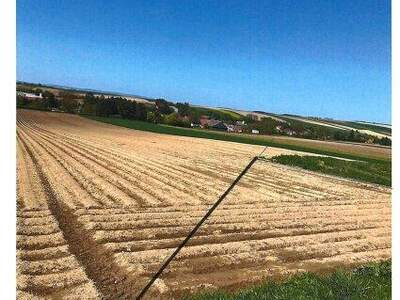 Grundstück kaufen in 2004 Niederhollabrunn (Bild 2)