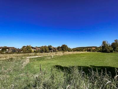 Grundstück kaufen in 4971 Aurolzmünster