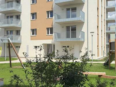 Terrassenwohnung mieten in 2700 Wr. Neustadt (Bild 4)