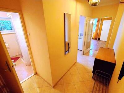 Terrassenwohnung kaufen in 2351 Wr. Neudorf (Bild 5)