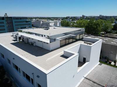 Gewerbeobjekt mieten in 1210 Wien (Bild 3)