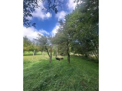 Grundstück kaufen in 2202 Enzersfeld