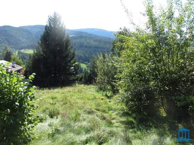 Grundstück kaufen in 8684 Spital