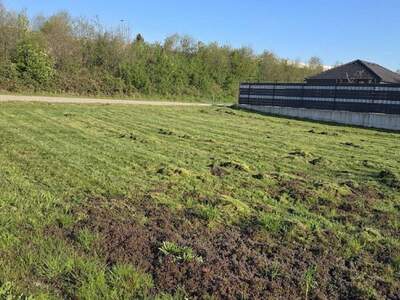 Grundstück kaufen in 4910 Ried (Bild 2)