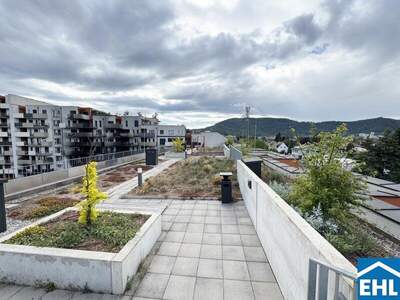 Terrassenwohnung mieten in 8053 Graz (Bild 3)