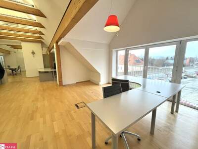 Gewerbeobjekt mieten in 8042 Graz (Bild 4)