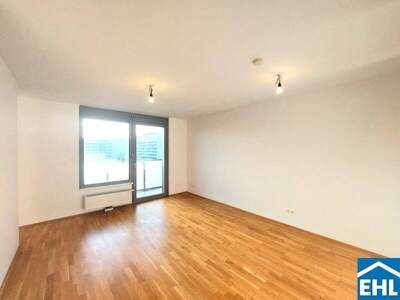Terrassenwohnung mieten in 1110 Wien (Bild 3)